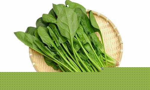 菠菜资源网：菠菜公司广告(菠菜广告语) (3)